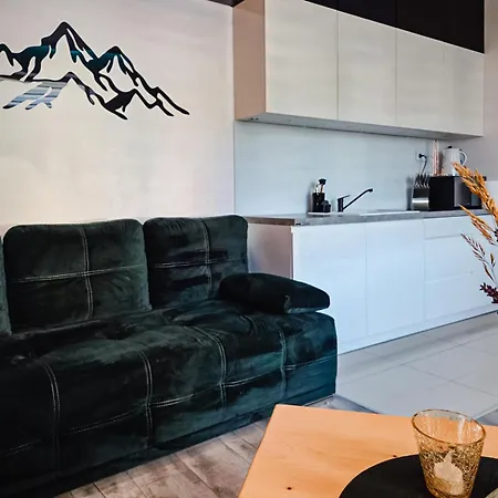 Apartament Krynica Zdroj 아파트 *