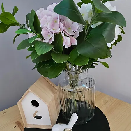 아파트 Apartament Krynica Zdroj *